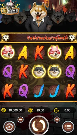 Shiba Mogul Screenshot